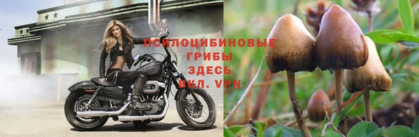 2c-b Алзамай