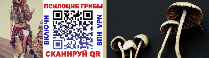 Псилоцибиновые грибы Psilocybine cubensis  где купить наркоту  OMG вход  маркетплейс наркотические препараты  Красноуфимск 